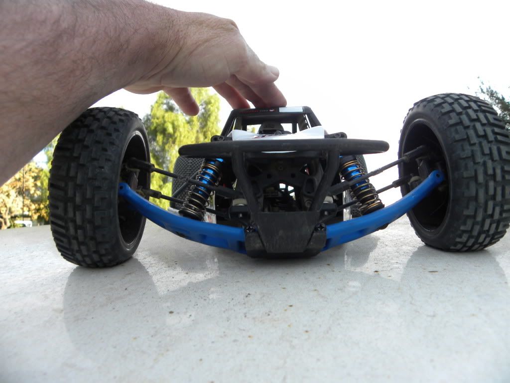 team associated short course buggy